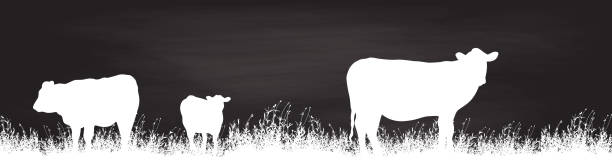ilustrações, clipart, desenhos animados e ícones de lousa de vacas pastando - silhouette white background black white