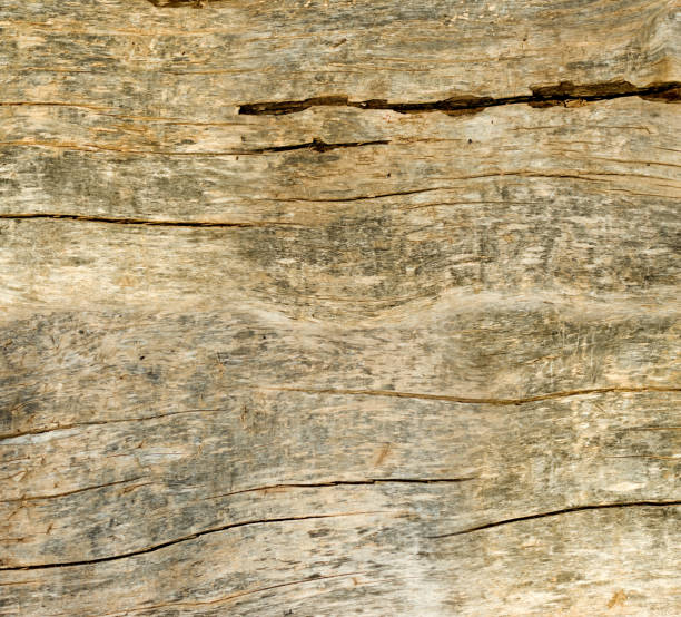 istock image of old wooden board close-up 1045217570