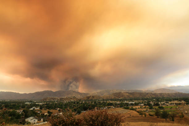 los angeles temmuz 2016 büyük kum yangın - wildfire smoke stok fotoğraflar ve resimler