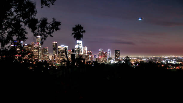 istock Los Angeles city park at night 1045221486