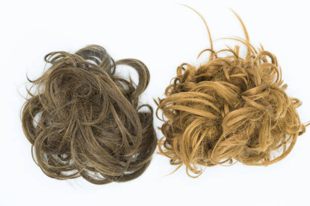 istock Curly brown and blond hair isolated on white background. 1045222402