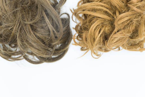 istock Curly brown and blond hair isolated on white. Bottom copy space. 1045222418