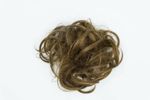 istock Curly brown tuft hair isolated on white background. 1045222422