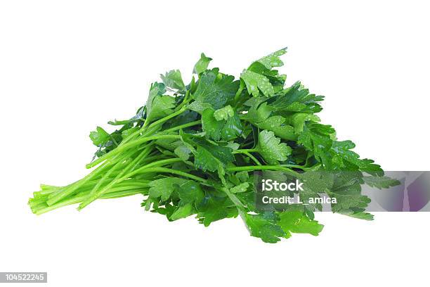 Fresh Green Parsley Stock Photo - Download Image Now - Bunch, Close-up, Color Image
