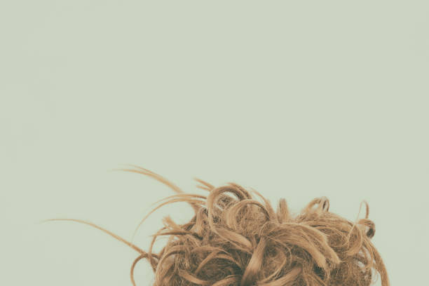 istock Curly brown and blond hair isolated with vintage effect. Copy space. 1045224526
