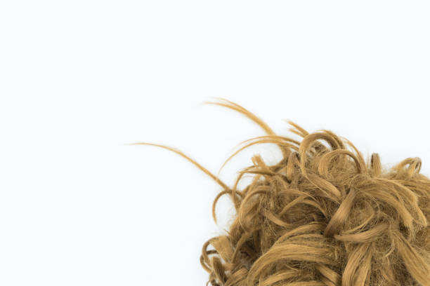 istock Curly blond hair isolated on white background. Left copy space. 1045224528