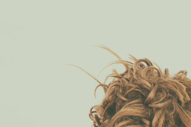 istock Curly blond hair isolated with vintage effect. Left copy space. 1045224542