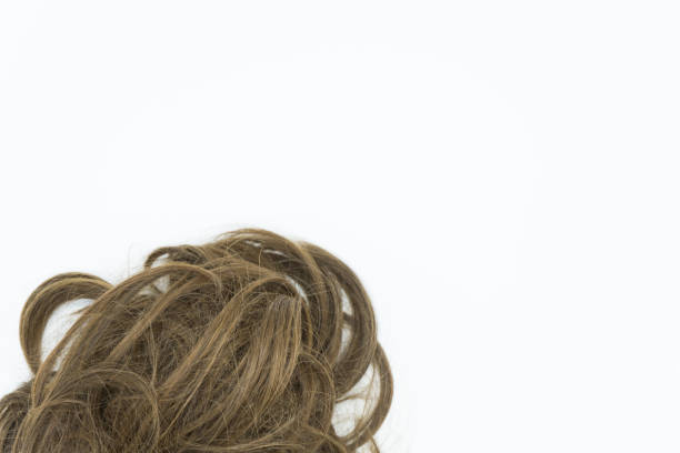 istock Curly brown hair isolated on white. Copy space. 1045224598