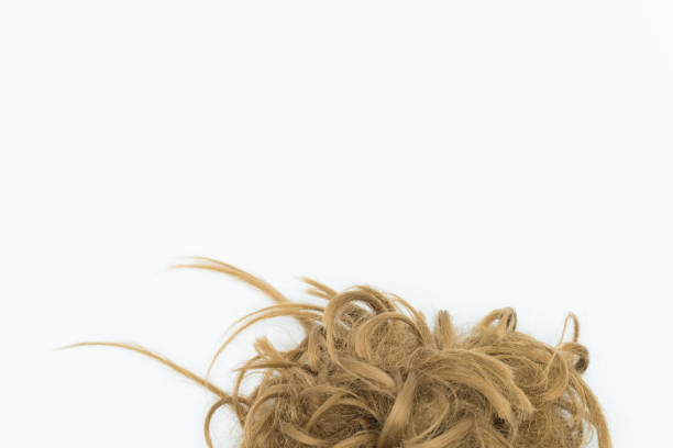 istock Curly brown and blond hair isolated on white. Copy space. 1045224764
