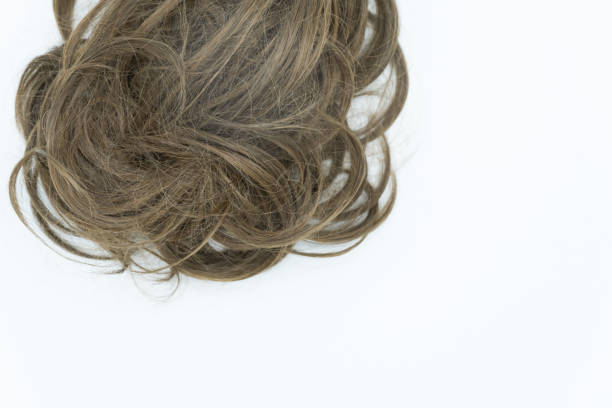 istock Curly brown hair isolated on white. Bottom copy space. 1045224818