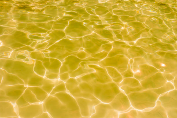 istock Gold swimming pool rippled water 1045228168