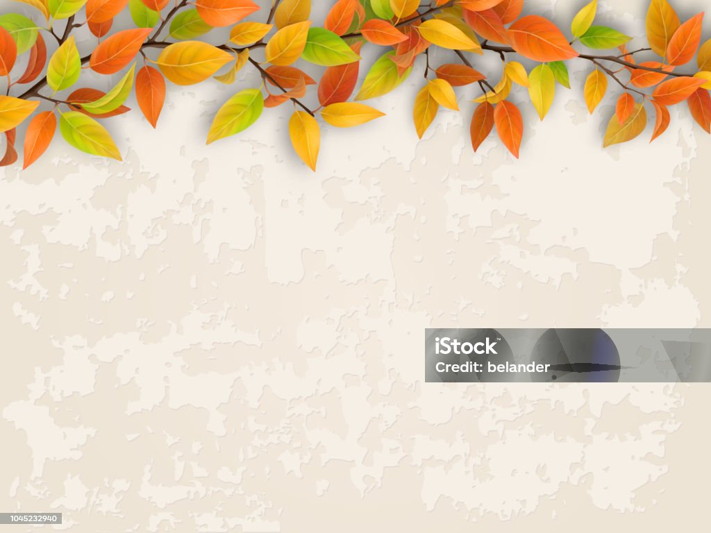 Tree branch on old plastered wall background. Tree branch with red and yellow foliage on old plastered wall. Autumn background. Autumn stock vector