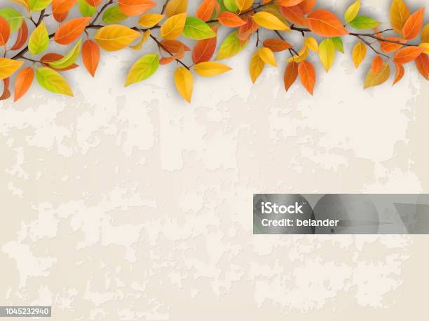 Tree Branch On Old Plastered Wall Background Stock Illustration - Download Image Now - Autumn, Falling, Backgrounds