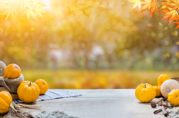 ringraziamento con frutta e verdura su legno in autunno e autunno raccolta cornucopia stagione - autunno immagine foto e immagini stock