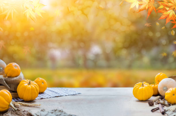 秋と秋の収穫の宝庫で木材に野菜とフルーツの感謝祭 - ブツ撮り 写真 ストックフォトと画像