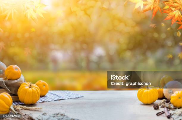 Thanksgiving With Fruit And Vegetable On Wood In Autumn And Fall Harvest Cornucopia Season Stock Photo - Download Image Now