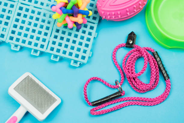 istock Pet accessories concept.  Pet leash with rubber toy on blue background. 1045248984