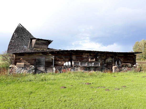 barn cowshed ancient damaged roof bar running farm