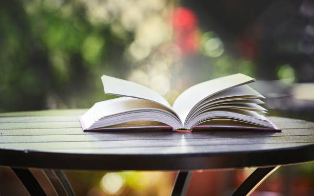 istock Open book lying on garden table in sunshine 1045263420
