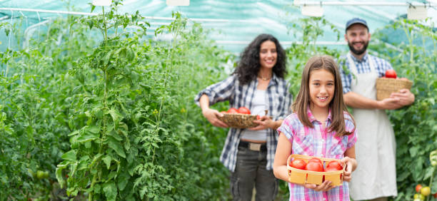 rodzina w gospodarstwie - farmers market agricultural fair vegetable child zdjęcia i obrazy z banku zdjęć