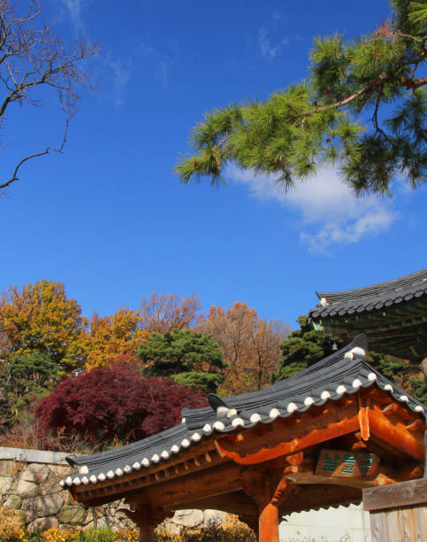 istock Bongeunsa Temple 8 1045269380