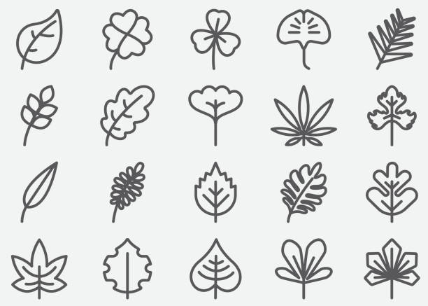 ilustrações, clipart, desenhos animados e ícones de folha forma linha ícones - marijuana plant