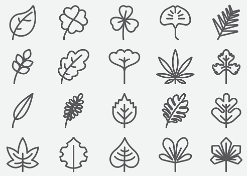 Leaf Shape Line Icons