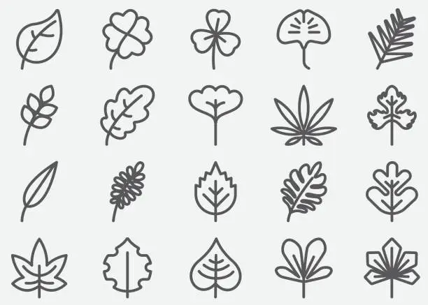 Vector illustration of Leaf Shape Line Icons