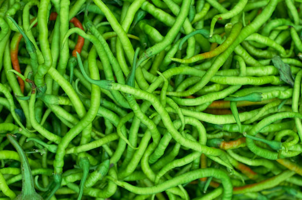 Green asparagus beans