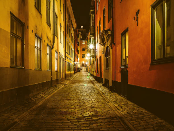 istock Night street in Stockholm 1045283030