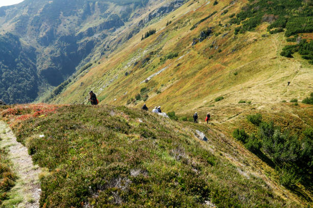 istock Senior Hikers in the mountain 1045286434