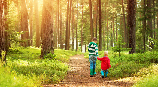 istock Children walking in the forest 1045287058