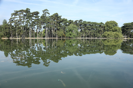 reflection in water