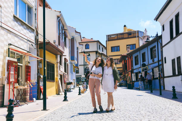 istock Travel with your best friend 1045301492