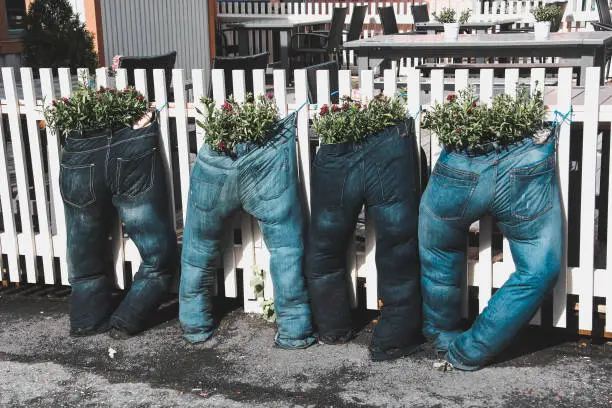 Photo of Four pairs of jeans filled with earth, plants and flowers