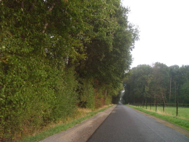 istock Idyllic summer country road 1045312572