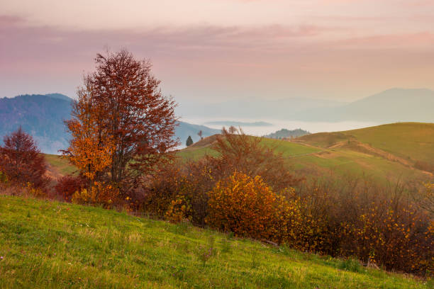 istock late autumn dawn with pink sky in mountains 1045316352