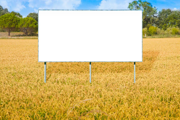 istock Blank advertising billboard immersed in a rice field - concept image with copy space 1045316454