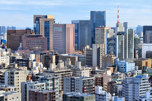 Tokyo city skyline with Yushima and Ochanomizu districts of Bunkyo ward. Big city aerial view.