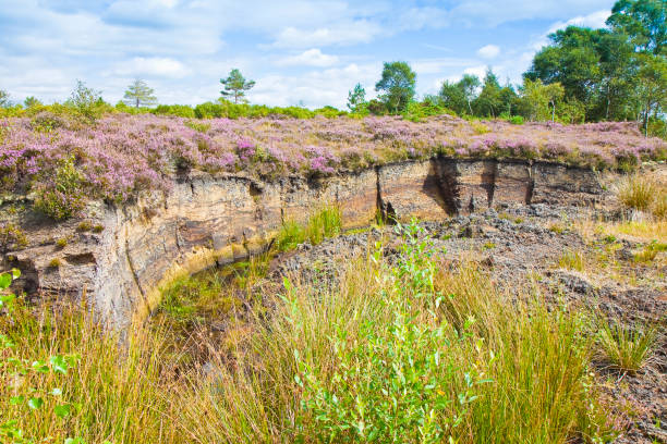 Irish peat bog landscape - (Ireland - Europe) Irish peat bog landscape - (Ireland - Europe) bog stock pictures, royalty-free photos & images