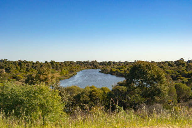istock Mundaring State Forest Perth WA Landscape 1045327574