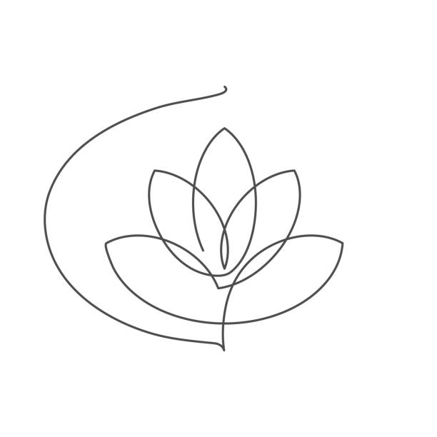 Flower lotus continuous line vector illustration with editable stroke. Flower lotus continuous line vector illustration with editable stroke - single line drawing of beautiful water lily for floral design or logo isolated on white background. lotus water lily illustrations stock illustrations