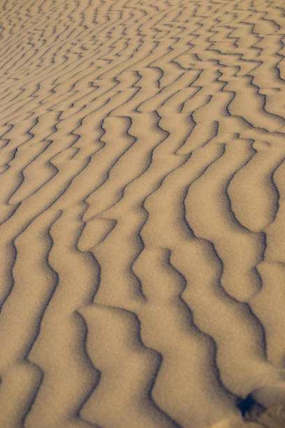 istock Beautiful dunes at Lancelin suset lights 1045335894