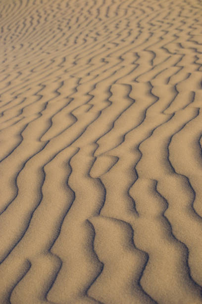 istock Beautiful dunes at Lancelin suset lights 1045336250