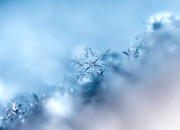 istock snowflake, little snowflake on the snow 1045339162