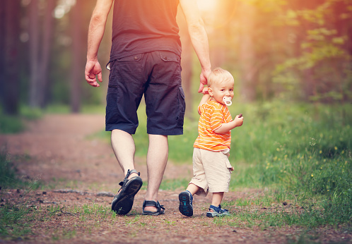 Father and son walking in the forest on summer day. Little child holding hand of a man