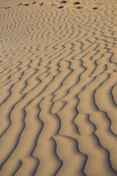 istock Beautiful dunes at Lancelin suset lights 1045342318