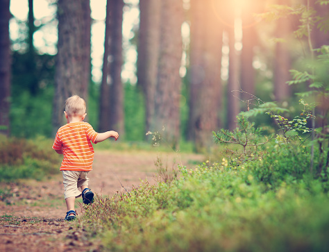 Little boy wolking in the forest. Child in the park in summer