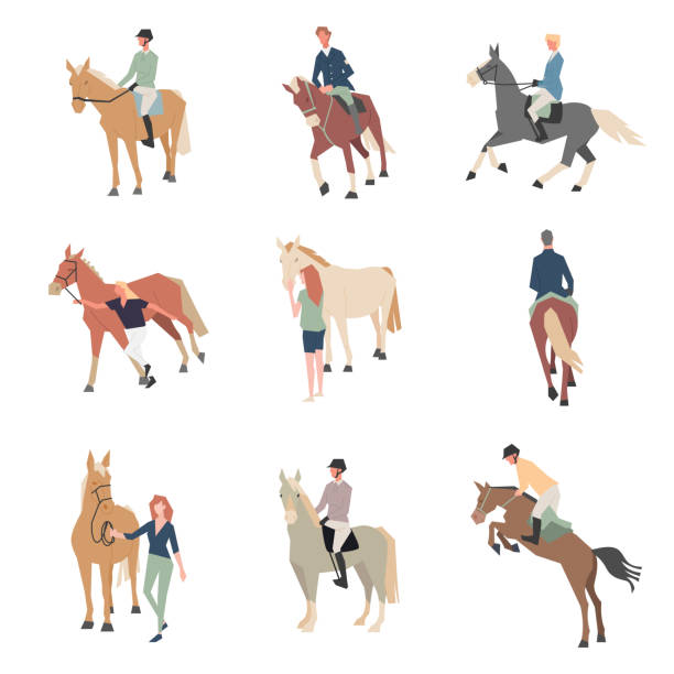 말을 타고 사람들입니다. 말에 라이더입니다. 말 품종 색상 평면 아이콘을 설정 합니다. - horseback riding illustrations stock illustrations