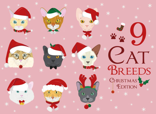 ilustraciones, imágenes clip art, dibujos animados e iconos de stock de conjunto de 9 razas de gatos con navidad y temas de invierno - bengals